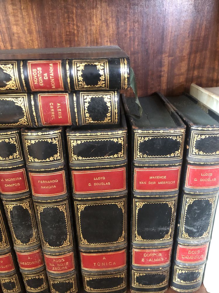 Varios autores de renome nacionais e internacionais