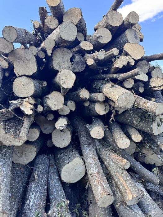 Дрова різних порід,рубані і не рубані