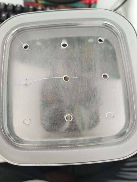 Psalmopoeus Irminia samica ~4dc z pojemnikiem