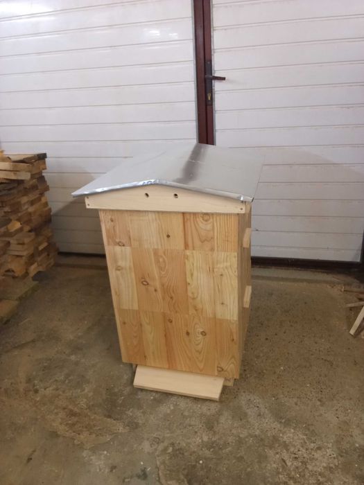 Ule/ Ul wielkopolski