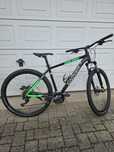 Rower Carver 29"