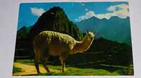 Подписанная открытка Мачу Пикчу 1977 год