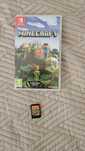 Minecraft Nitendo Switch