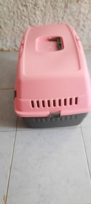 Transporte pet até 10k