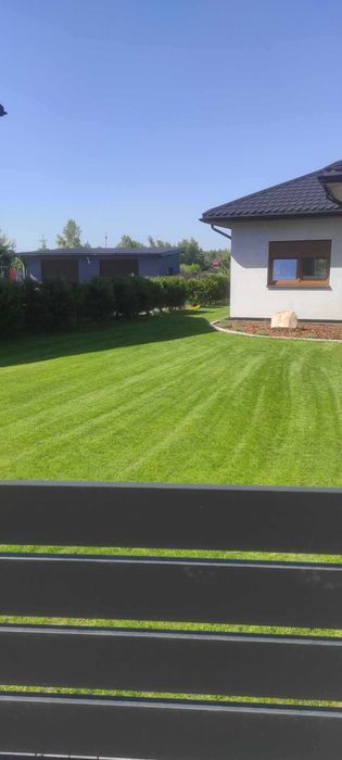 Glebogryzarka separacyjna , koszenie nieużytków