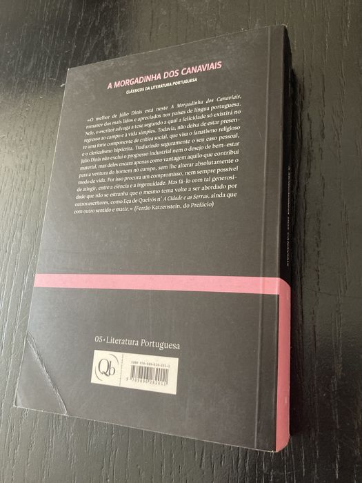 A Morgadinha dos Canaviais - Júlio Dinis