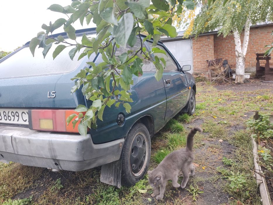 Таврія нова з газом