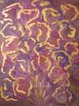 Obraz piwonie 80x60 cm