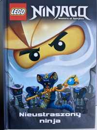 Książeczka lego ninjago „Nieustraszony ninja”