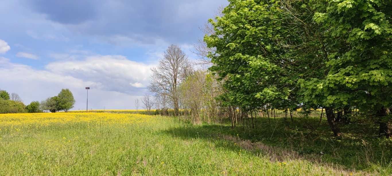 2 działki budowlane, uzbrojone , położone nad jeziorem