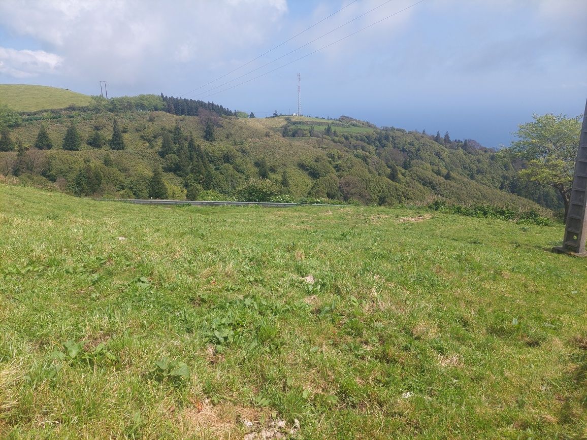 Terreno rural na Ponta Garça (Pico do Calvo) 1.13 ha