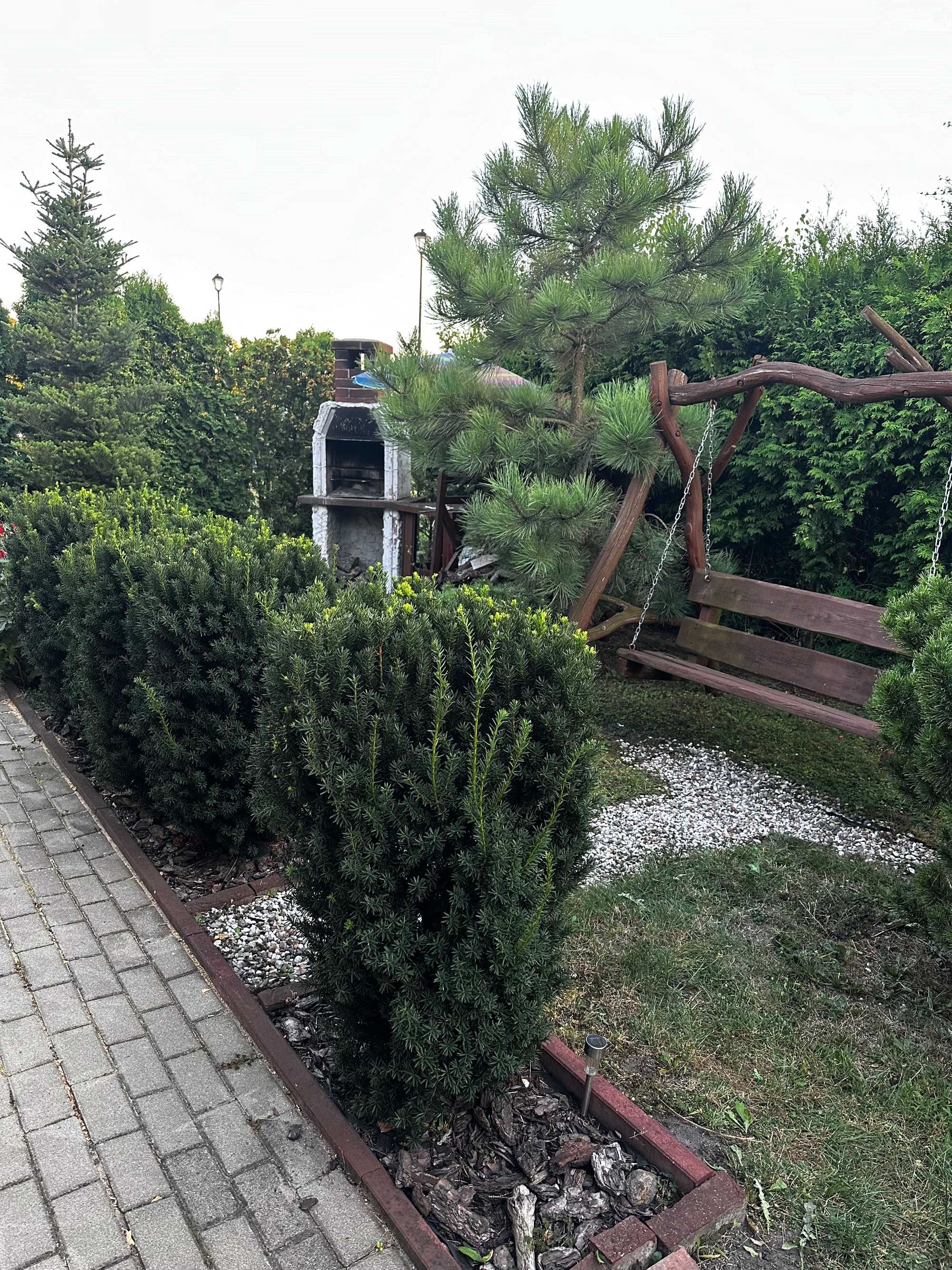 Działka ROD Wojska Polskiego CENTRUM