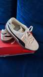 Pumy puma club II Era JR 36