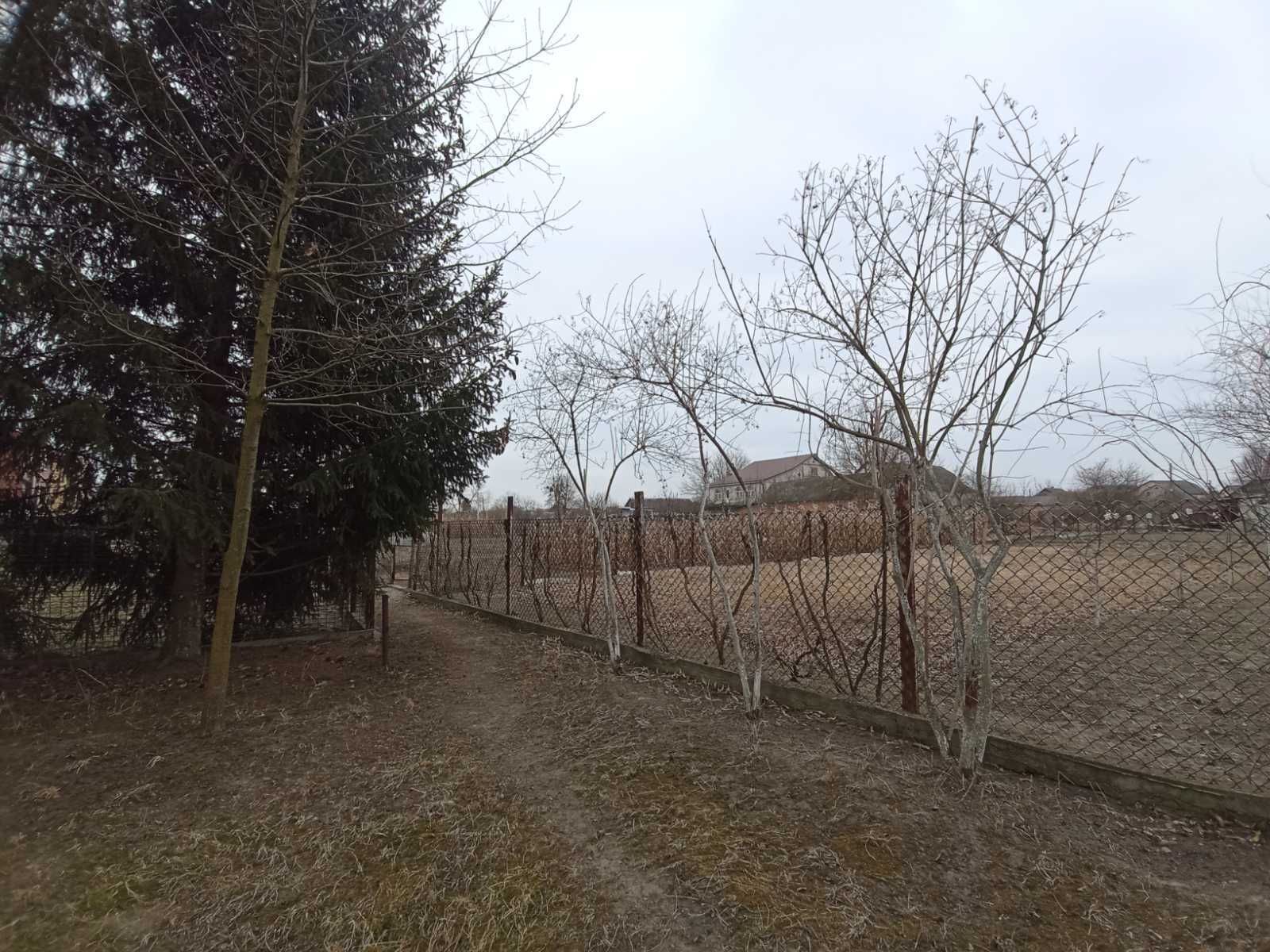 (3) Продам земельну ділянку в Стрижавці 0756