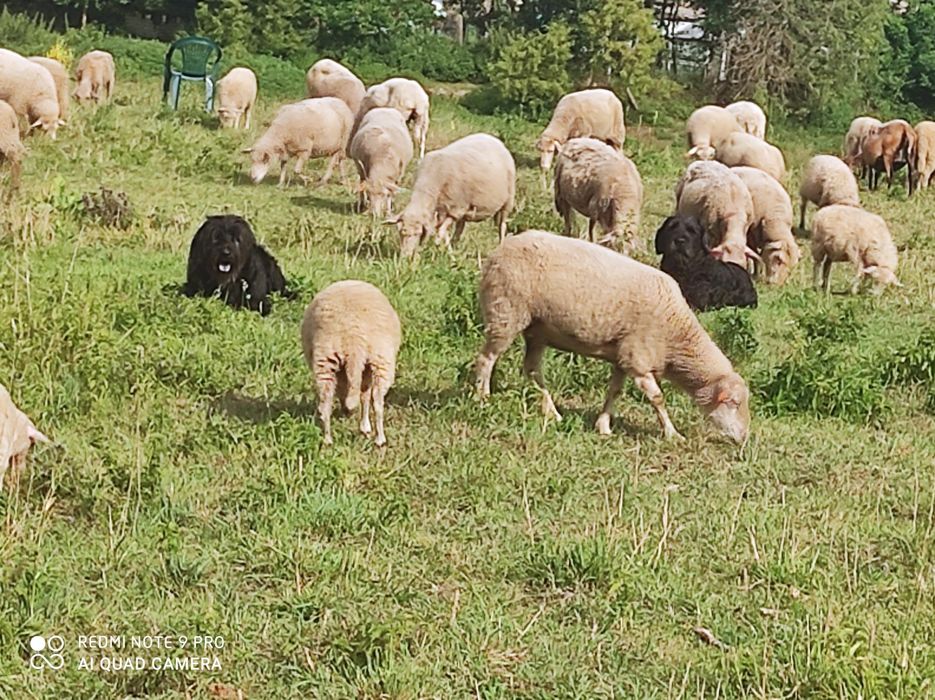 Agroturystyka Stary spichlerz w niemicy