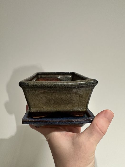 Горщик для бонсай, фікуса розміром 19x7x12