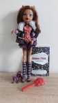 Lalka Monster High Clawdeen Wolf Linia Basic