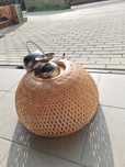 Lampa wiszaca pokojowa