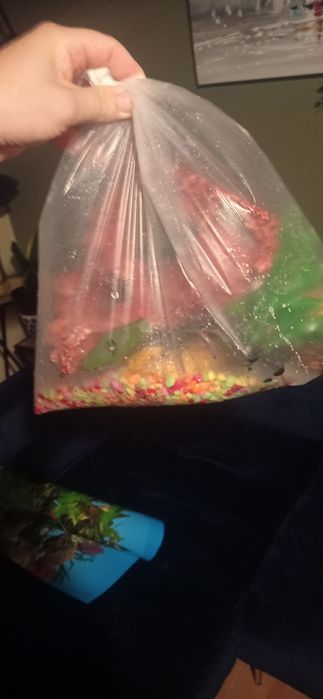 Aquário em bom estado