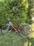 Rower Bros Champion 26”