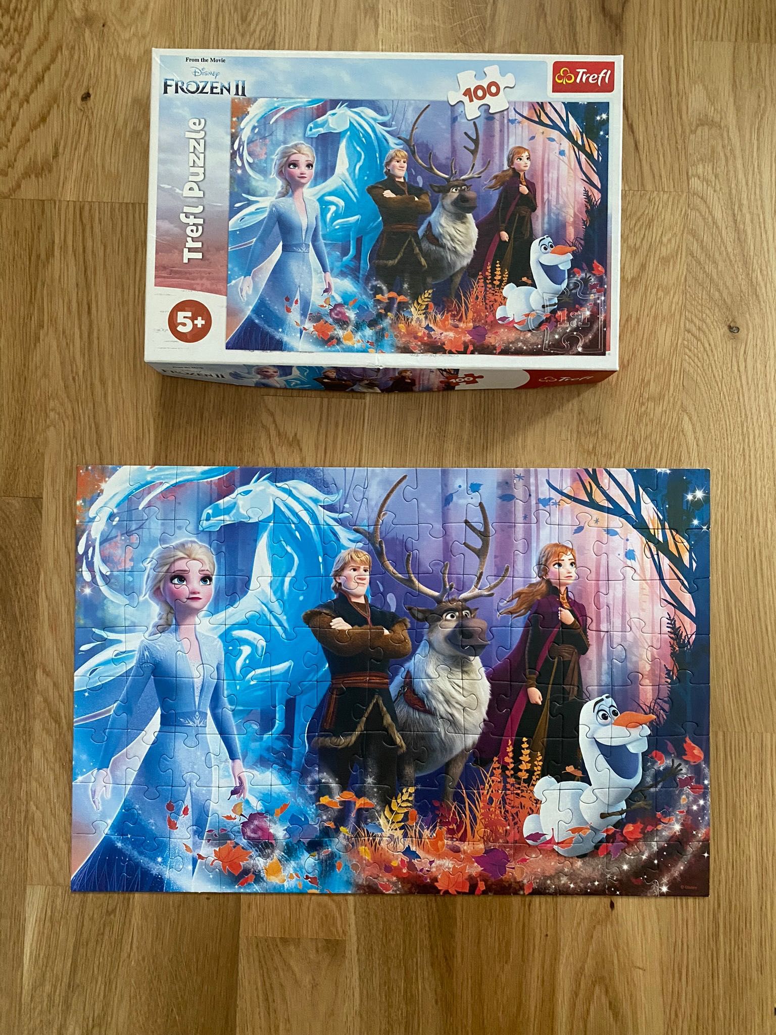 Puzzle Kraina Lodu 2 Frozen 2 - 100 elementów, 5+ Trefl