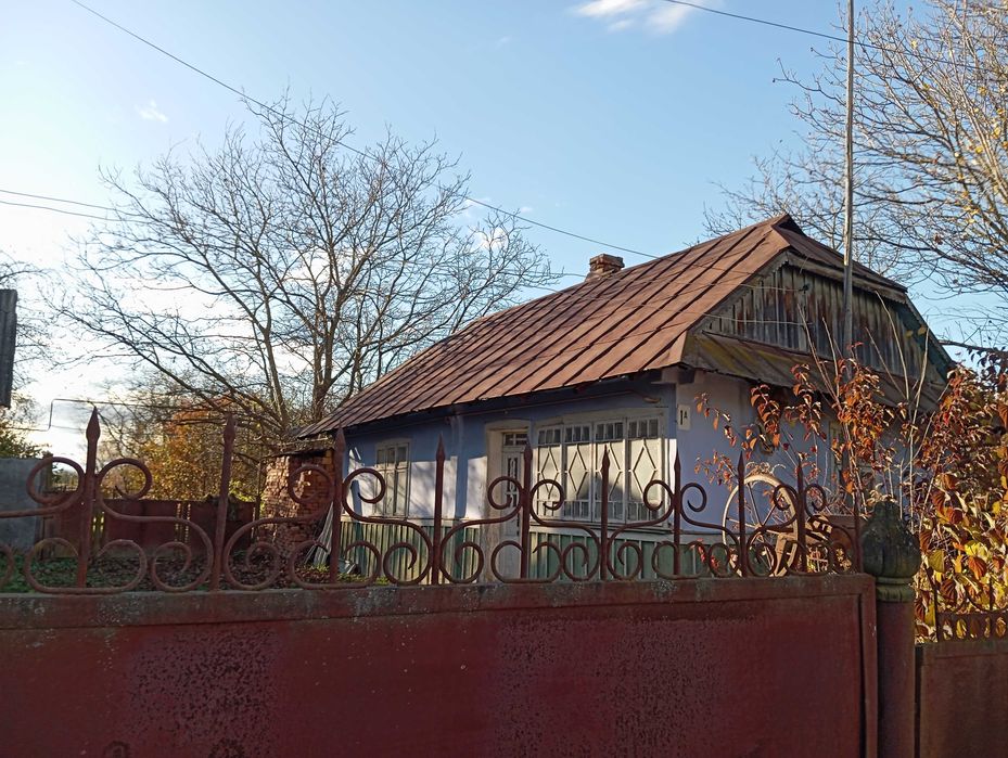 Господарство м. Вашківці центр,  Вижницький район Чернівецька область