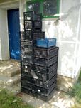 Продам ящики пласмасові