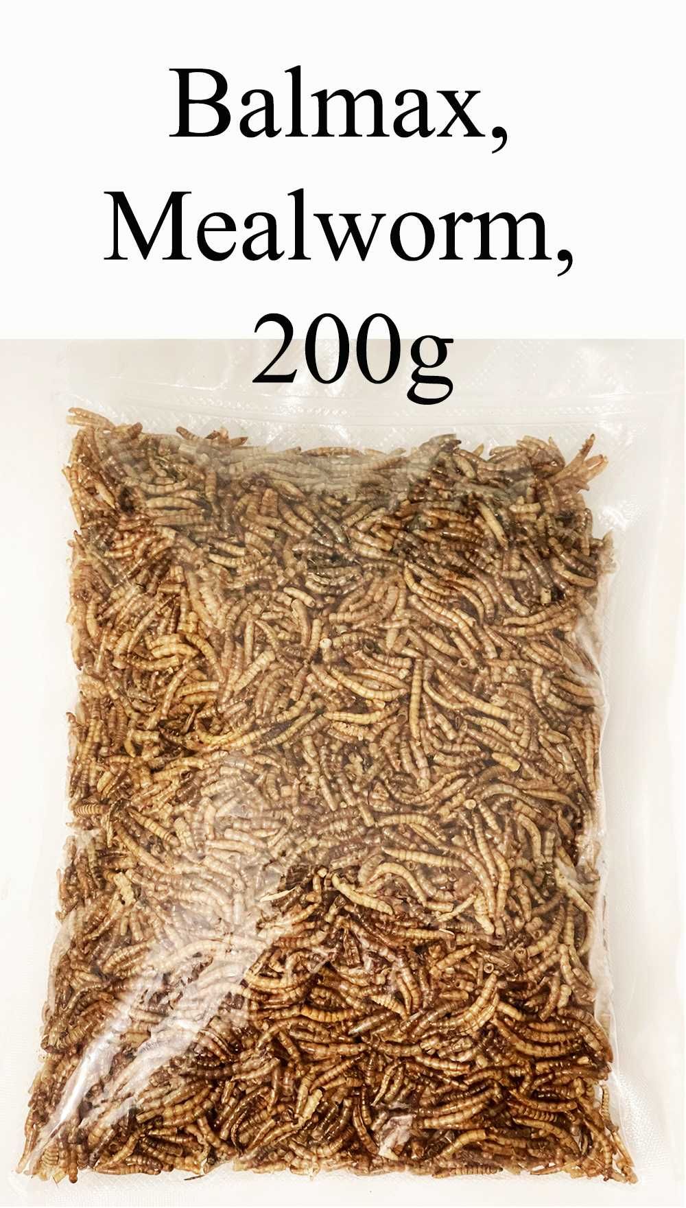 Balmax, Suszone larwy mącznika młynarka / Mealworm /  400g