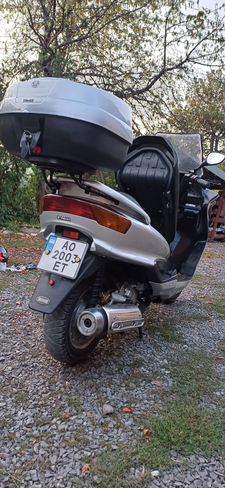 yamaha magesty 250