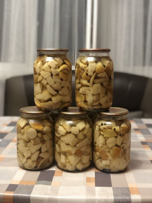 Гриби білі з Карпат