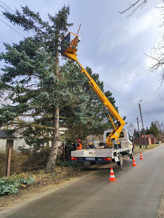 Wycinka, przycinka drzew, rembak!!