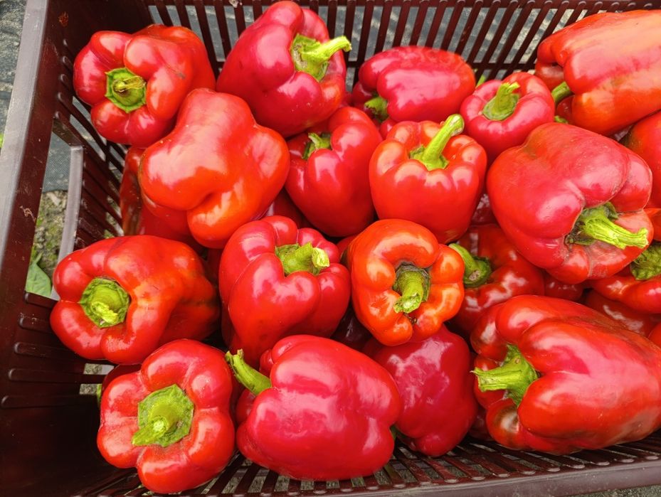 10 kg papryki czerwonej - paczkomat