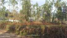 Terreno Agrícola - Vila Franca
