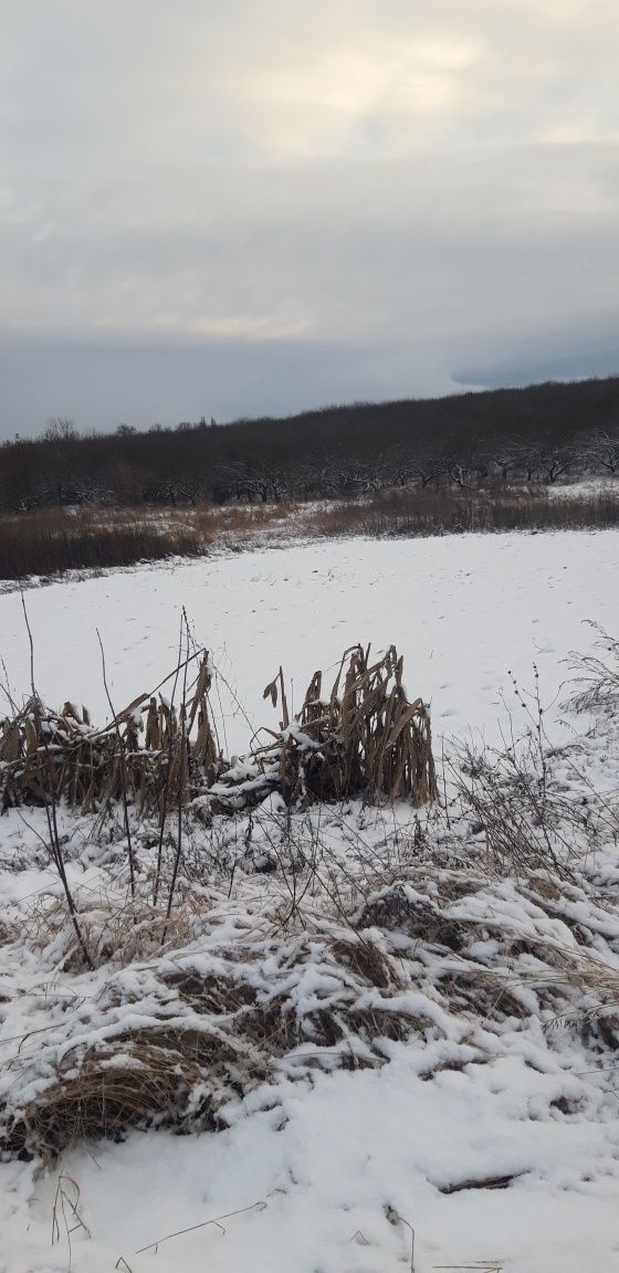 земля под застройку