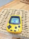 Pocket Pikachu Nintendo