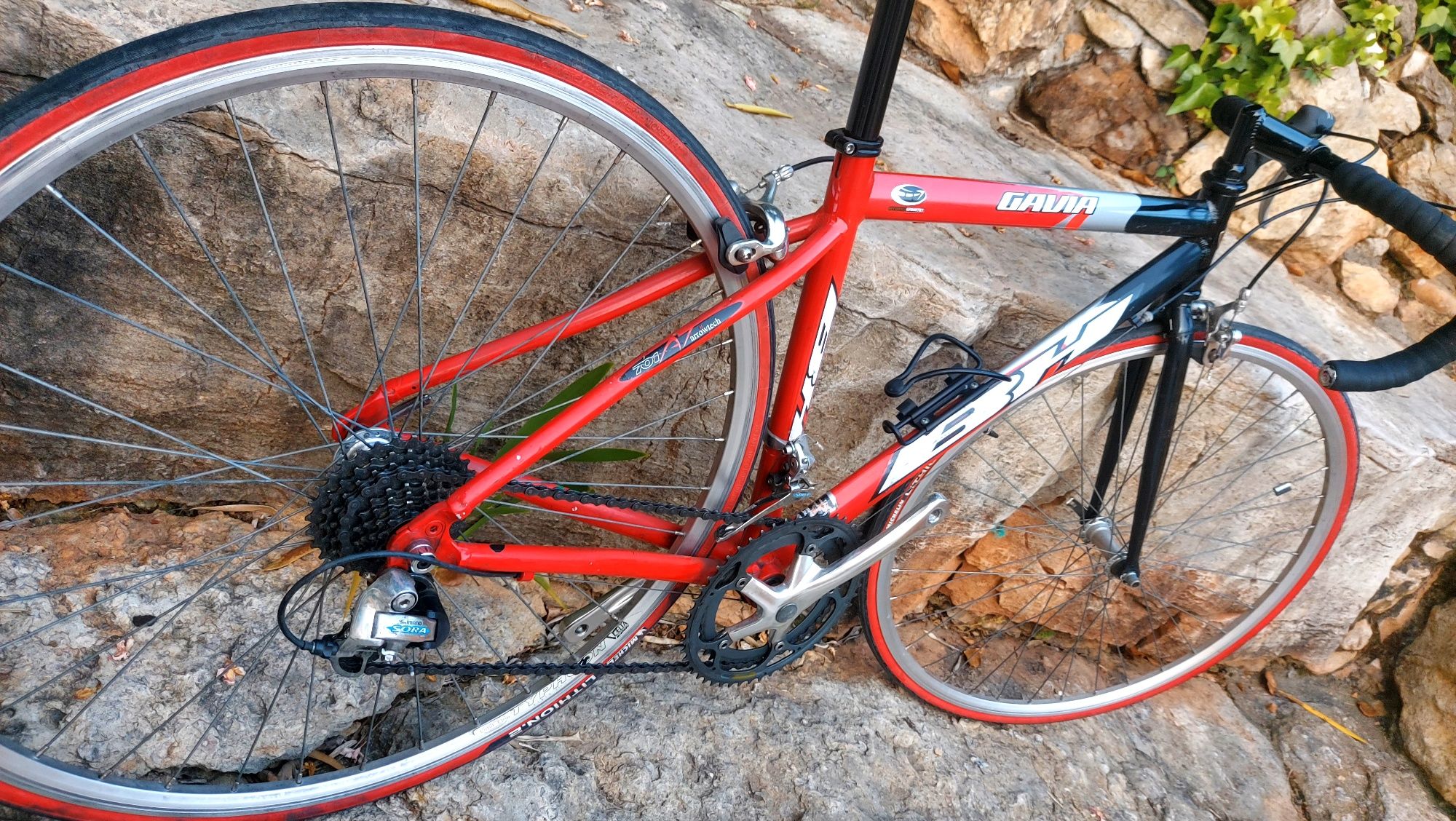 BH Gavia oportunidade t49