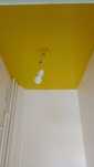 Pintor profissional