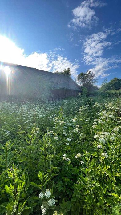 Продаж ділянки 20 сот с. Загір'я, Солонківська ОТГ. Без комісії