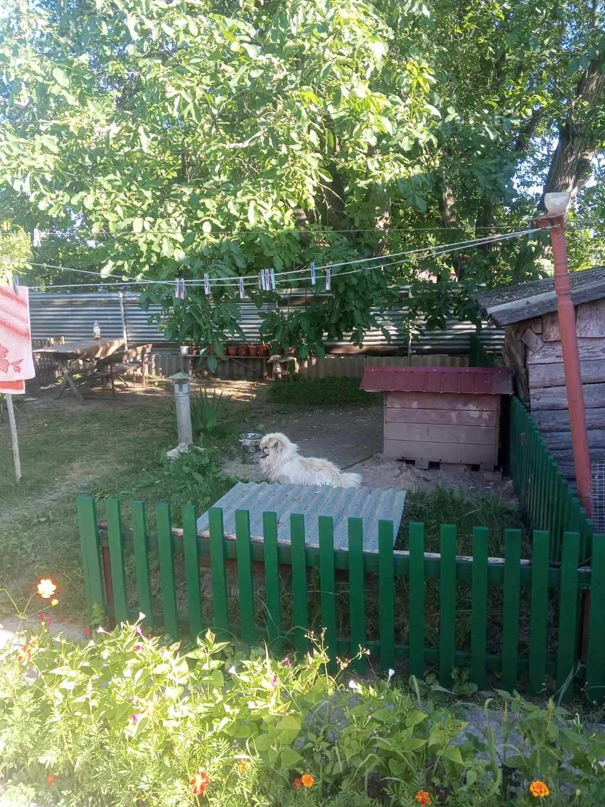 Продам будинок в центрі  селища Диканька