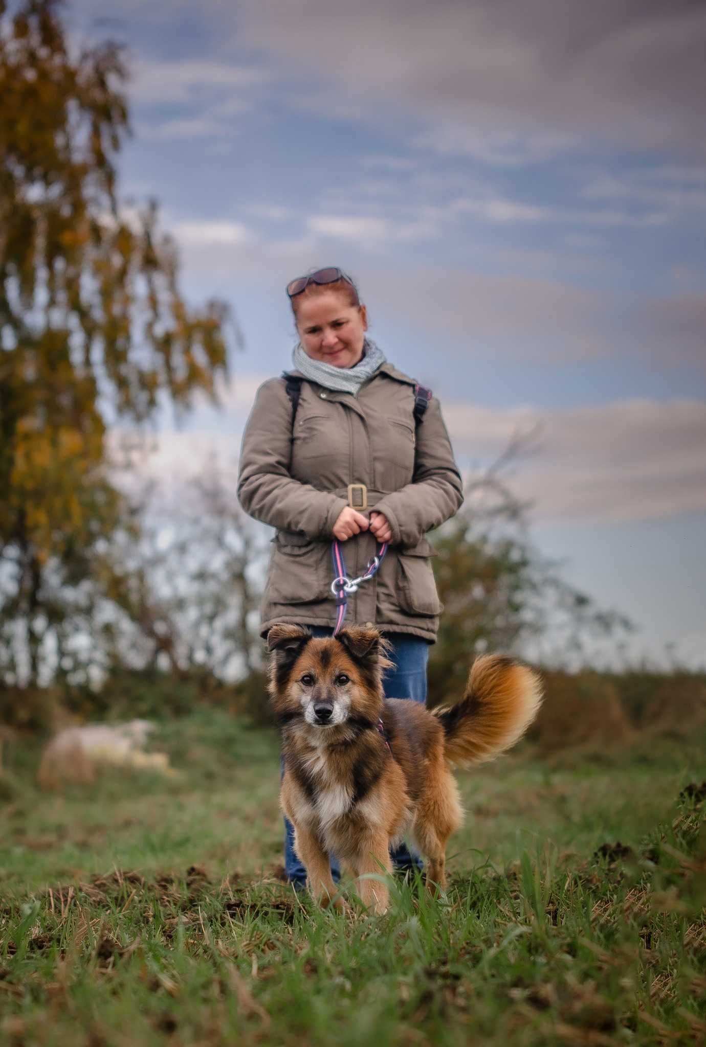 Liczi - kochany, fajny psiak do adopcji.