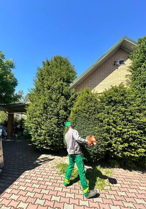 Садовник стрижка растений, приведение в порядок участка.