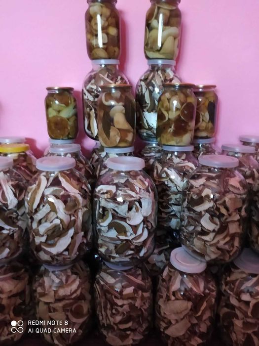 Білі гриби мариновані