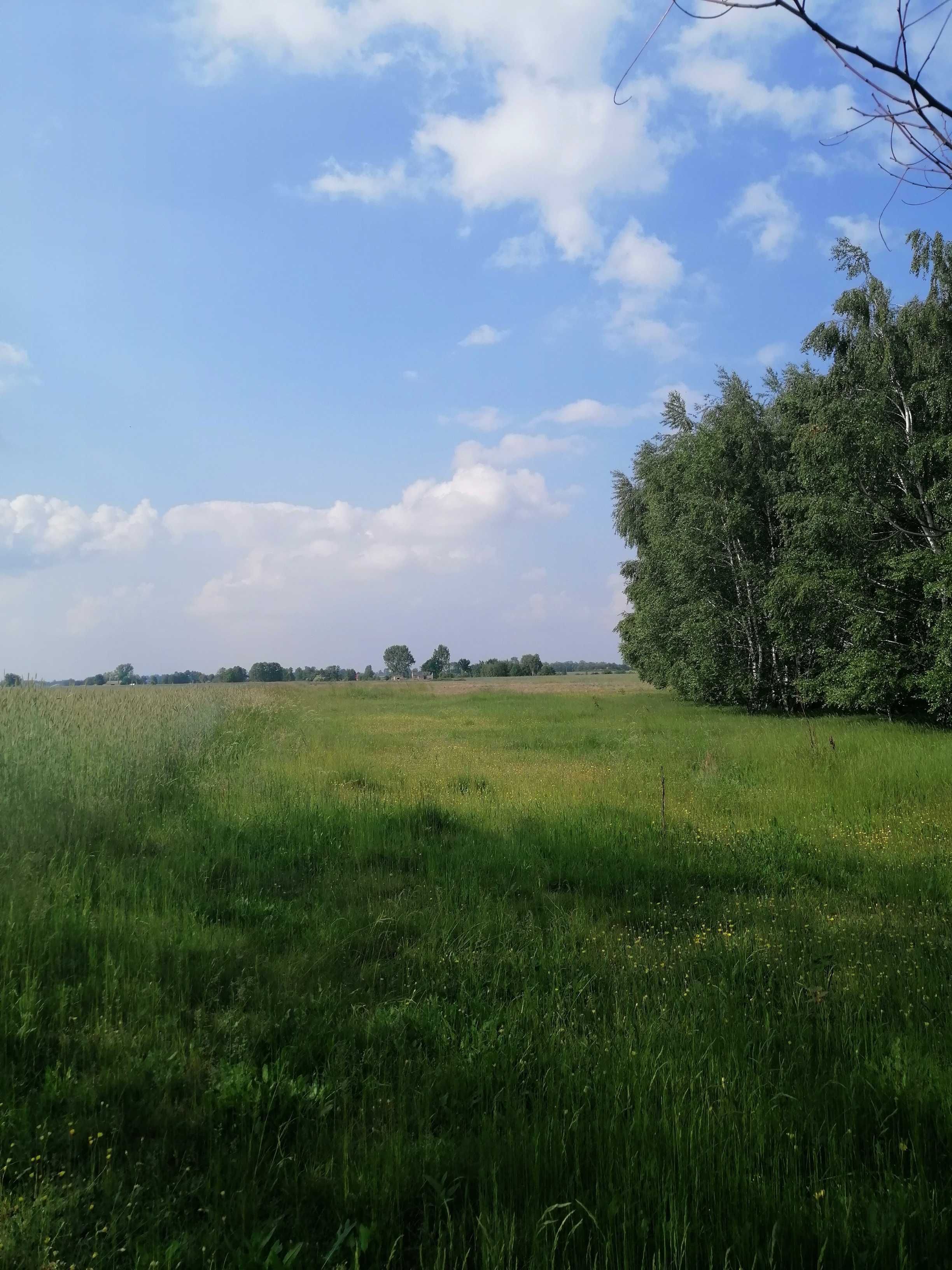Działka 9870 m2, pow. zgierski, szeroki front.