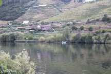 Terreno  para venda