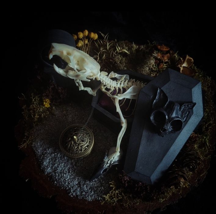 Taksydermia szkielet szczura