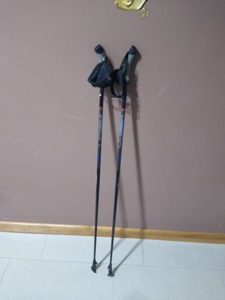 Kijki nordic walking CRANE VISION długość 115 cm