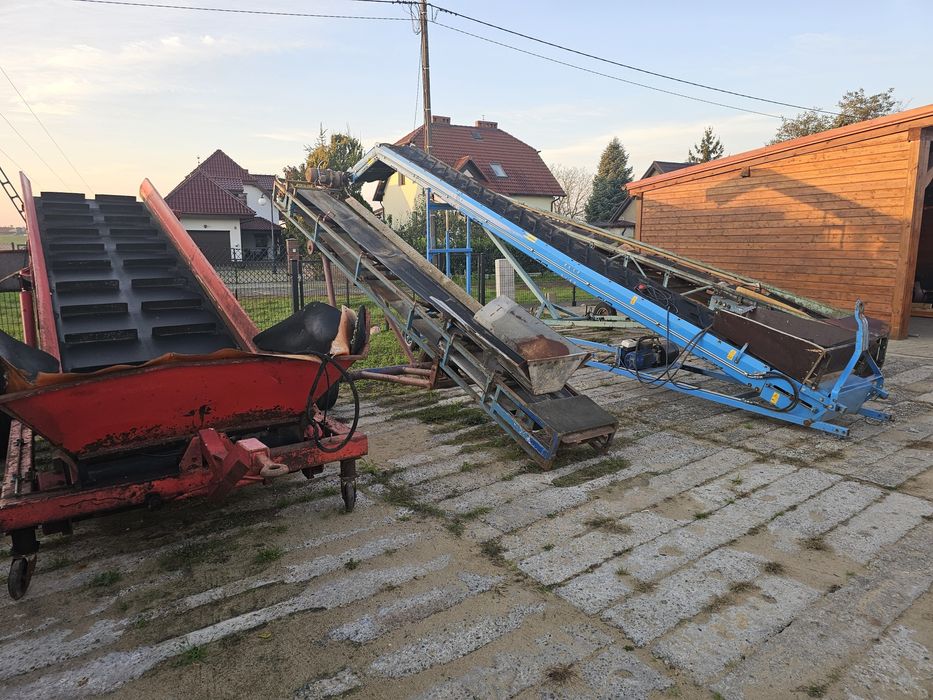 Taśmociąg podajnik kosz przyjęciowy sortownik  ziemniaki cebula