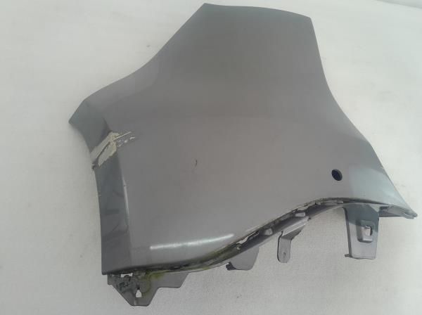 Canto pára-choques trás esquerdo RENAULT Scénic III (JZ0/1_)