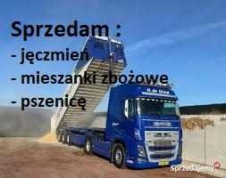 Sprzedam jęczmień, owies, pszenżyto, żyto 50 ton