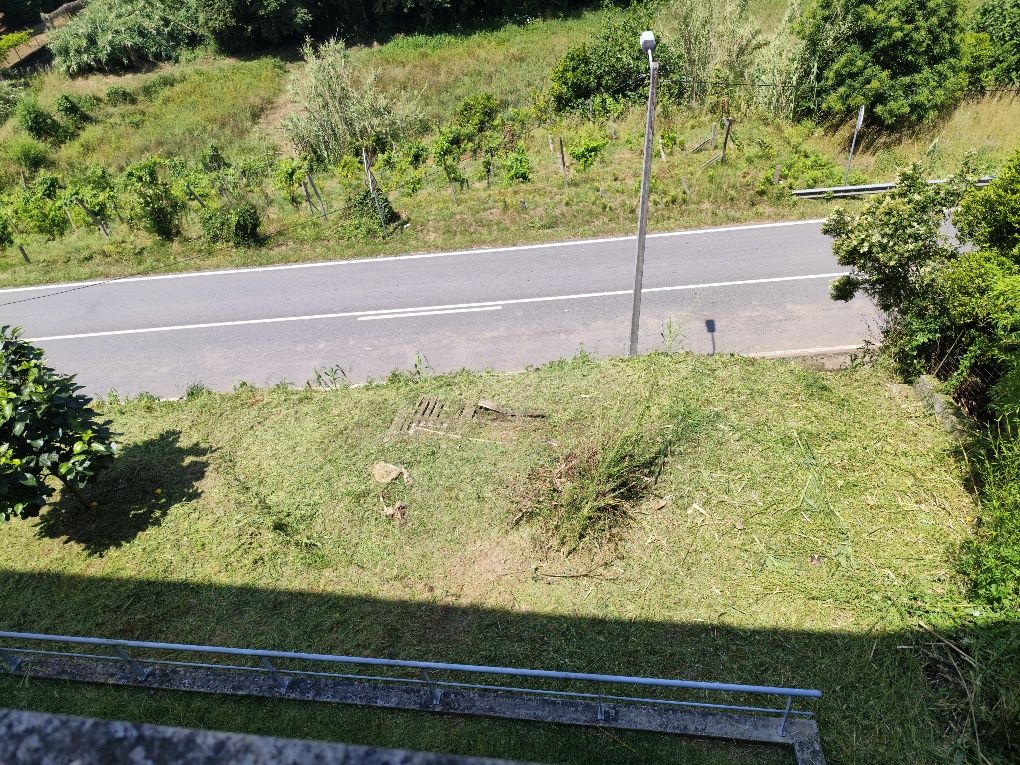 Limpeza de Terrenos e manutenção de jardins